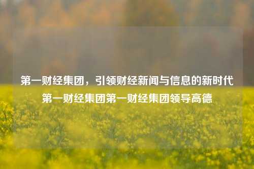 第一财经集团，引领财经新闻与信息的新时代第一财经集团第一财经集团领导高德