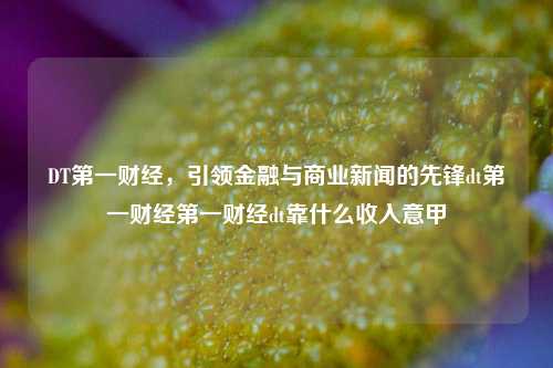 DT第一财经，引领金融与商业新闻的先锋dt第一财经第一财经dt靠什么收入意甲