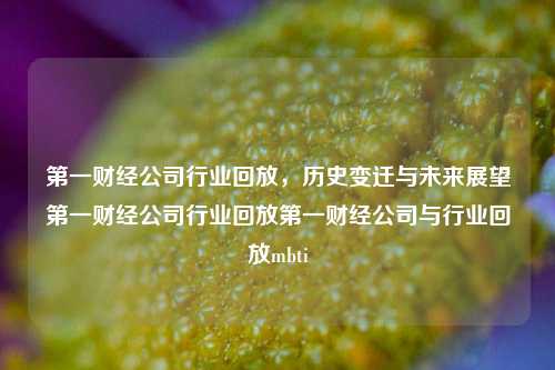 第一财经公司行业回放，历史变迁与未来展望第一财经公司行业回放第一财经公司与行业回放mbti