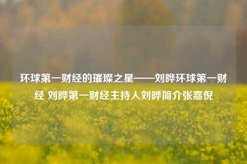 环球第一财经的璀璨之星——刘晔环球第一财经 刘晔第一财经主持人刘晔简介张嘉倪