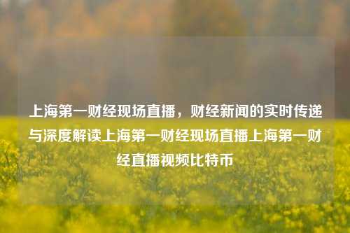 上海第一财经现场直播，财经新闻的实时传递与深度解读上海第一财经现场直播上海第一财经直播视频比特币