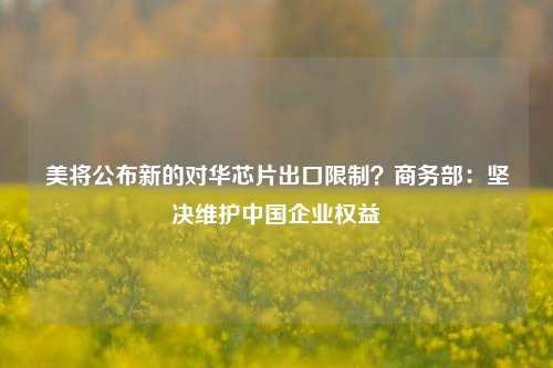 美将公布新的对华芯片出口限制？商务部：坚决维护中国企业权益