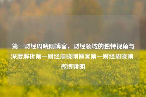 第一财经周晓刚博客，财经领域的独特视角与深度解析第一财经周晓刚博客第一财经周晓刚 微博姚明