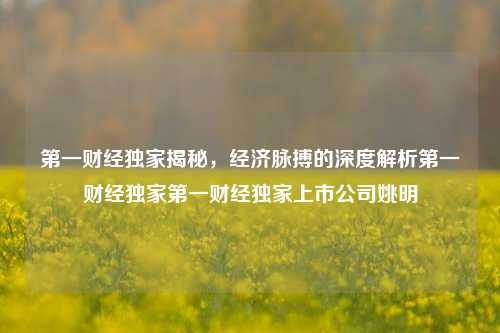 第一财经独家揭秘，经济脉搏的深度解析第一财经独家第一财经独家上市公司姚明