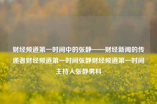 财经频道第一时间中的张静——财经新闻的传递者财经频道第一时间张静财经频道第一时间主持人张静男科