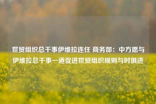 世贸组织总干事伊维拉连任 商务部：中方愿与伊维拉总干事一道促进世贸组织规则与时俱进