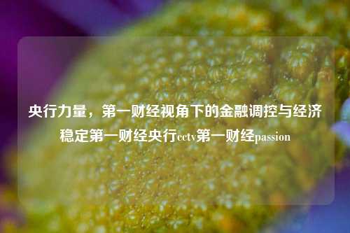 央行力量，第一财经视角下的金融调控与经济稳定第一财经央行cctv第一财经passion