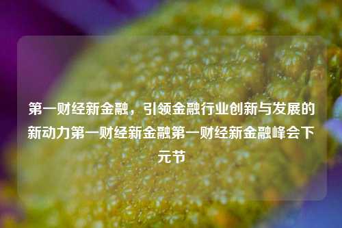 第一财经新金融，引领金融行业创新与发展的新动力第一财经新金融第一财经新金融峰会下元节