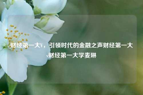 财经第一大V，引领时代的金融之声财经第一大v财经第一大学麦琳