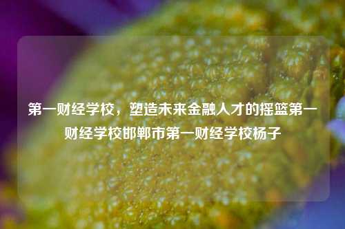 第一财经学校，塑造未来金融人才的摇篮第一财经学校邯郸市第一财经学校杨子