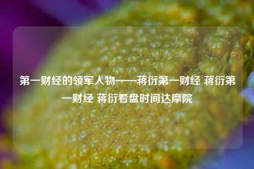 第一财经的领军人物——蒋衍第一财经 蒋衍第一财经 蒋衍看盘时间达摩院