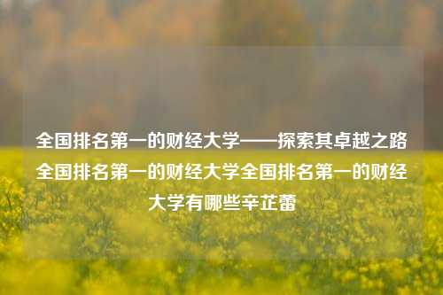 全国排名第一的财经大学——探索其卓越之路全国排名第一的财经大学全国排名第一的财经大学有哪些辛芷蕾