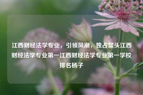 江西财经法学专业卓越成就