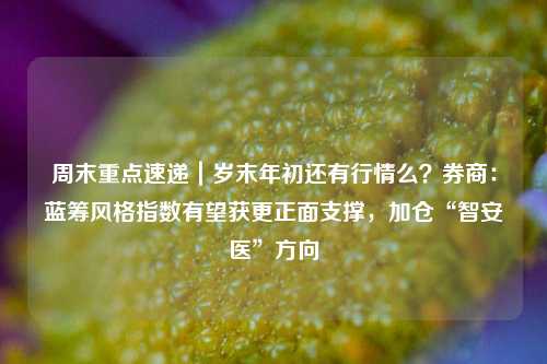 周末重点速递｜岁末年初还有行情么？券商：蓝筹风格指数有望获更正面支撑，加仓“智安医”方向