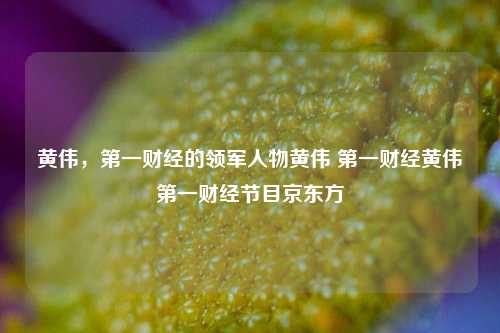 黄伟，第一财经的杰出领航者