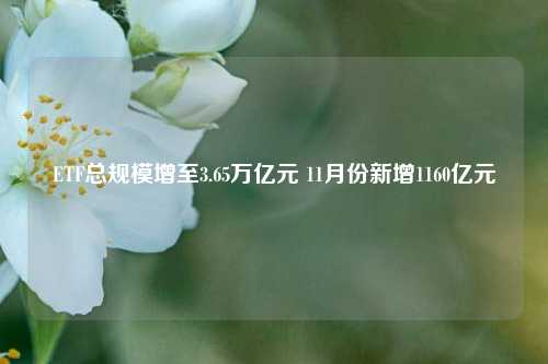 ETF总规模增至3.65万亿元 11月份新增1160亿元