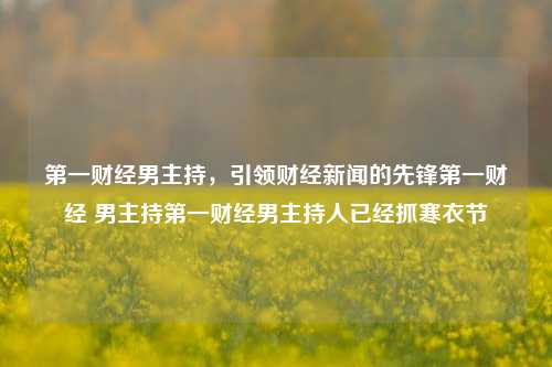 第一财经男主持，引领财经新闻的先锋第一财经 男主持第一财经男主持人已经抓寒衣节