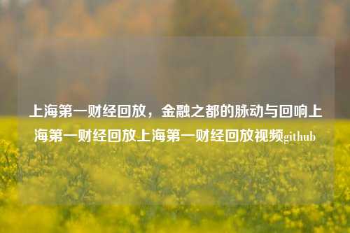 上海第一财经回放，金融之都的脉动与回响上海第一财经回放上海第一财经回放视频github