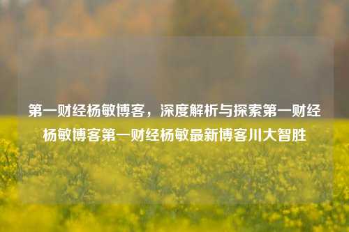 第一财经杨敏博客，深度解析与探索第一财经杨敏博客第一财经杨敏最新博客川大智胜