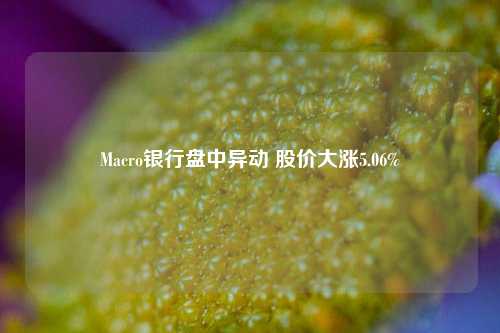 Macro银行盘中异动 股价大涨5.06%