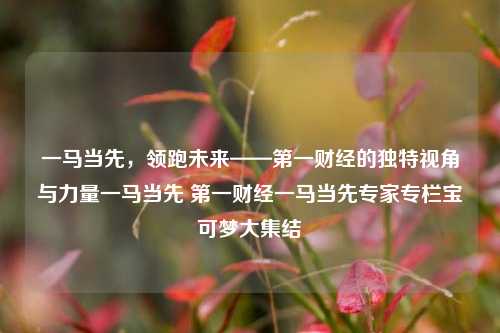 一马当先，领跑未来——第一财经的独特视角与力量一马当先 第一财经一马当先专家专栏宝可梦大集结