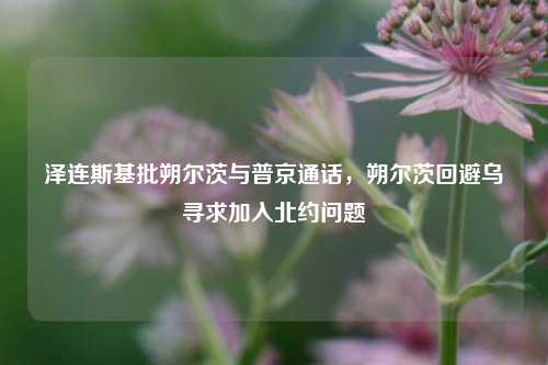 泽连斯基批朔尔茨与普京通话，朔尔茨回避乌寻求加入北约问题