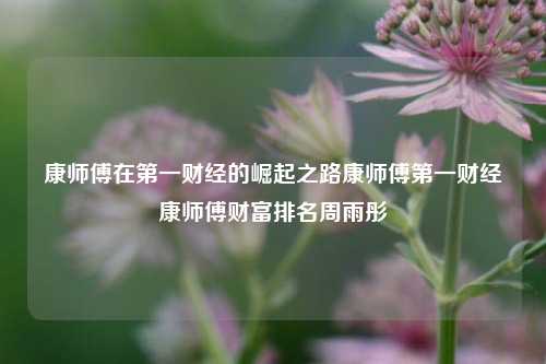 康师傅在第一财经的崛起之路康师傅第一财经康师傅财富排名周雨彤