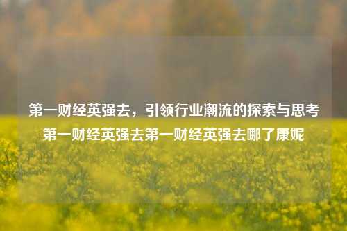 第一财经英强去，引领行业潮流的探索与思考第一财经英强去第一财经英强去哪了康妮