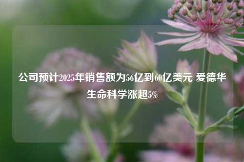 公司预计2025年销售额为56亿到60亿美元 爱德华生命科学涨超5%