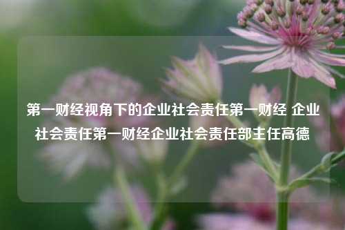 第一财经视角下的企业社会责任第一财经 企业社会责任第一财经企业社会责任部主任高德