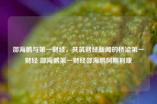 邵海鹏与第一财经：共筑财经新闻的桥梁