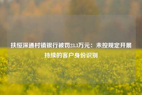 扶绥深通村镇银行被罚23.3万元：未按规定开展持续的客户身份识别