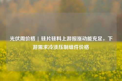 光伏周价格 | 硅片硅料上游报涨动能充足，下游需求冷淡压制组件价格