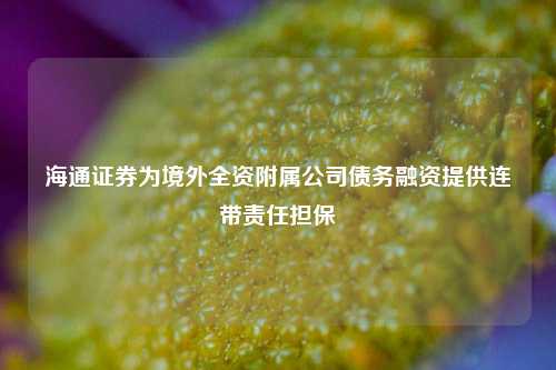 海通证券为境外全资附属公司债务融资提供连带责任担保