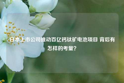 日本上市公司推动百亿钙钛矿电池项目 背后有怎样的考量？