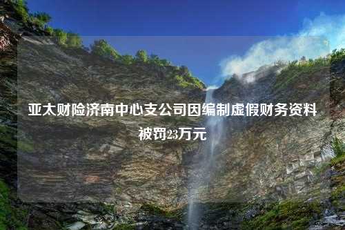 亚太财险济南中心支公司因编制虚假财务资料被罚23万元