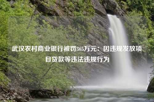 武汉农村商业银行被罚365万元：因违规发放项目贷款等违法违规行为