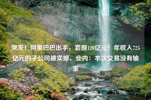 突发！阿里巴巴出手，套现120亿元！年收入725亿元的子公司被卖掉，业内：本次交易没有输家