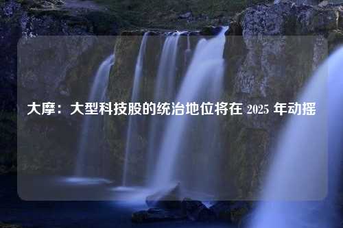 大摩：大型科技股的统治地位将在 2025 年动摇