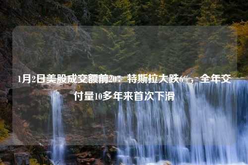 1月2日美股成交额前20：特斯拉大跌6%，全年交付量10多年来首次下滑