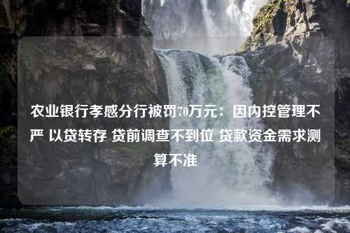 农业银行孝感分行被罚70万元：因内控管理不严 以贷转存 贷前调查不到位 贷款资金需求测算不准