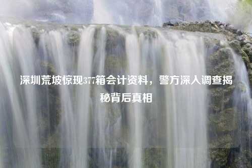 深圳荒坡惊现377箱会计资料，警方深入调查揭秘背后真相