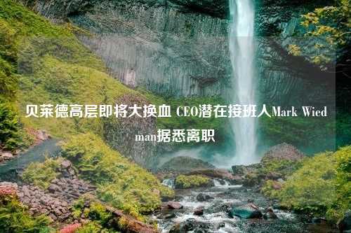 贝莱德高层即将大换血 CEO潜在接班人Mark Wiedman据悉离职