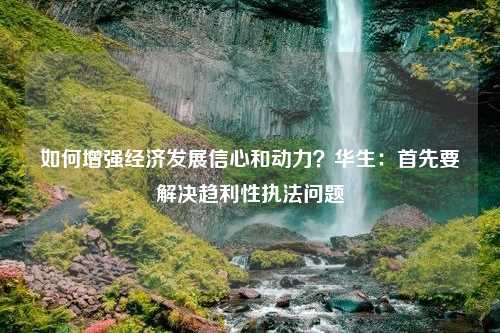 如何增强经济发展信心和动力？华生：首先要解决趋利性执法问题